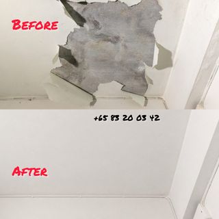 Plastering Service/Cement Screeding/Self Leveling/Dismantle/Disposal/Hacking/Box-up/False Ceiling. Collection item 3