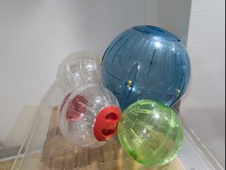 (Category: ) located in . Submitted by lovehamie (Listing ID 1435826915, Image 1). Description: .