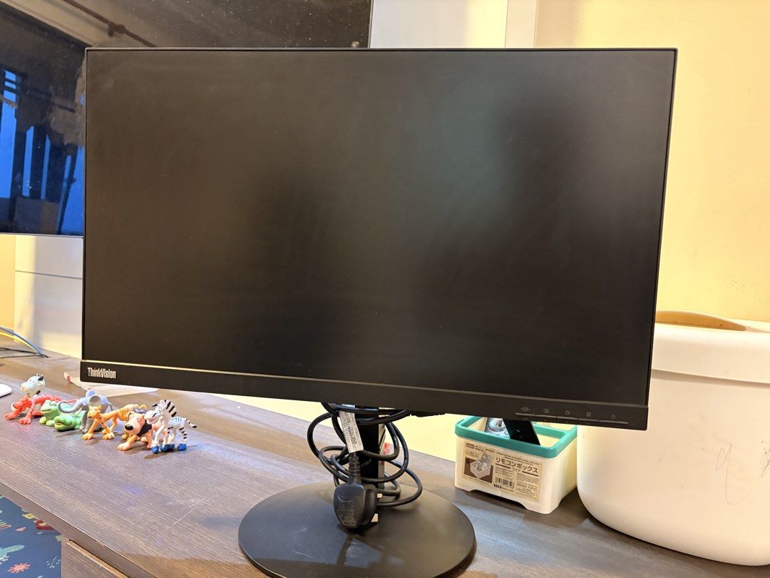 Lenovo ThinkVision Monitor