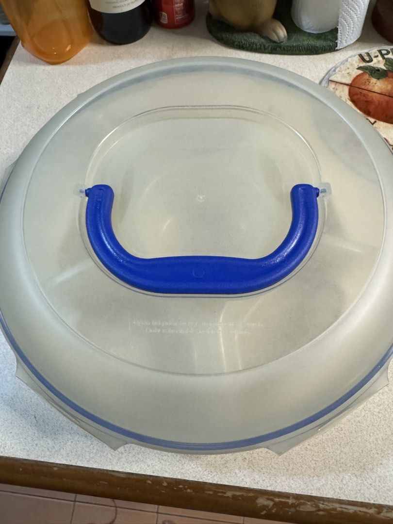 Lock & Lock Serving Platter with Lid444202190866360320