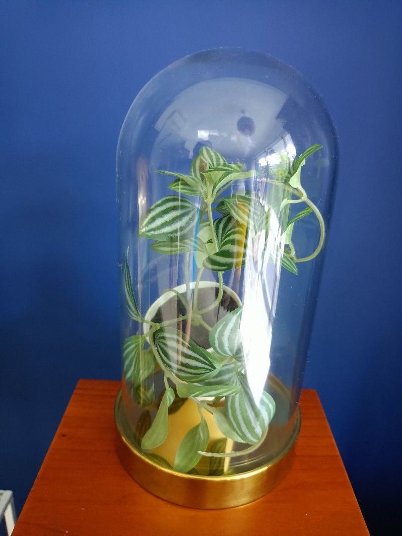 Miniature artificial plant with glass container