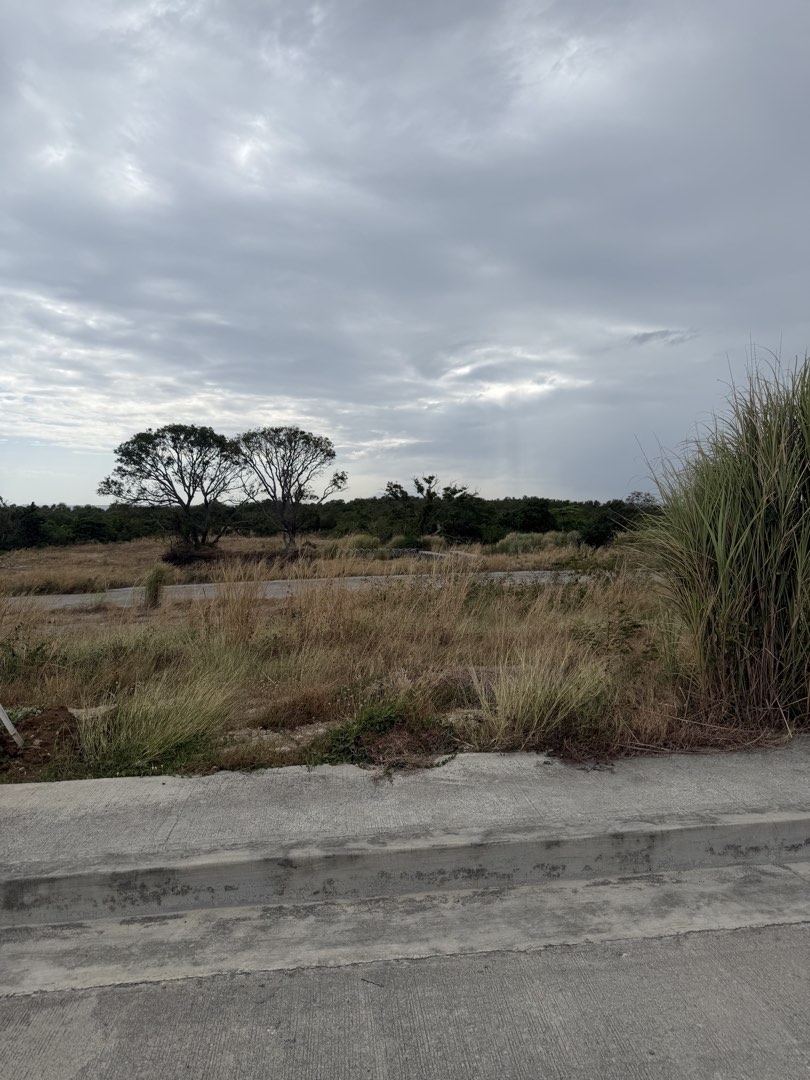 (Category: ) located in . Submitted by cathydlcruz (Listing ID 1435884805, Image 1). Description: .
