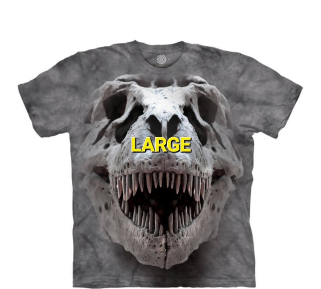 THE MOUNTAIN SHIRT BY LIQUID BLUE (Category: Tshirts & Polo Shirts ) located in Tacurong. Submitted by lexfajarito (Listing ID 1435849502, Image 2). Description: NEW ARRIVAL📌📌 THE MOUNTAIN TSHIRT BY LIQUID BLUE BOUGHT IN USA🇺🇲🇺🇲 SIZES ON THE PIC BRANDNEW BELOW SRP LOCATION: TACURONG CITY SHIPPING NATIONWIDE PM KA NA🤭.