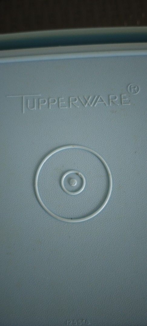 Tupperware Food  Containers443846143267973120