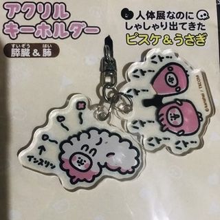 （分類：）位於 。 由 damehdino 提交（商品編號 1440925451，圖片 1）。簡介： 。