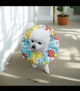 (Category: ) located in . Submitted by kitten.essential (Listing ID 1440852083, Image 1). Description: .