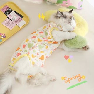 (Category: ) located in . Submitted by kitten.essential (Listing ID 1440863889, Image 1). Description: .