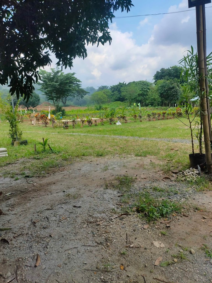 (Category: ) located in . Submitted by genjimenez (Listing ID 1440863289, Image 1). Description: .