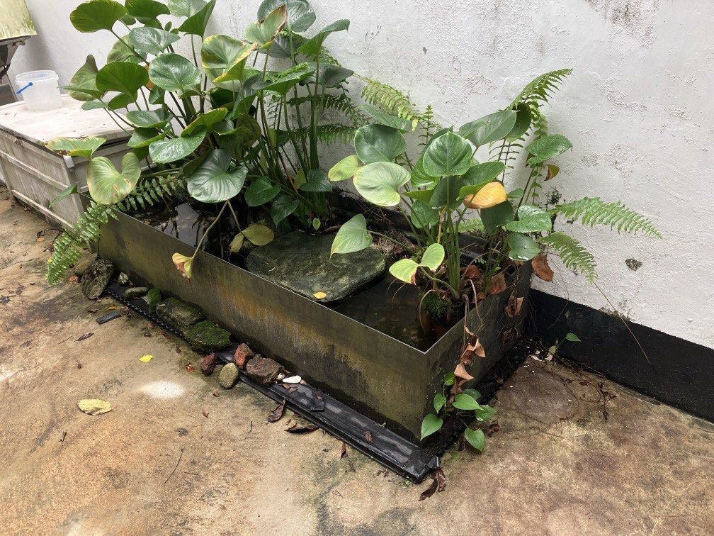 Fiber glass pond huge rectangular468267512418150402