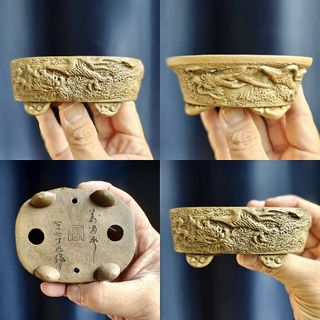 (Category: ) located in . Submitted by jia_bonsai_singapore (Listing ID 1440880666, Image 1). Description: .