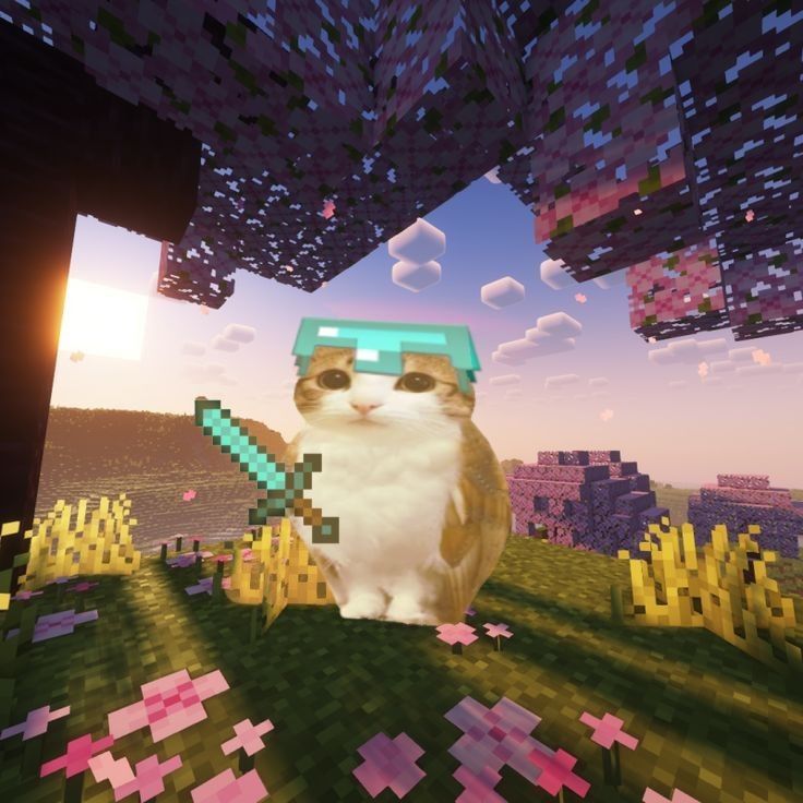 minecraft account bedrock+java (Category: Game Gift Cards & Accounts) located in Kuala Lumpur. Submitted by deer_molly (Listing ID 1440856560, Image 1). Description: chat me first :) i will give you acc and password. You can change the password and email on microsoft. I can help you change the email. i only play abit then rarely play it..