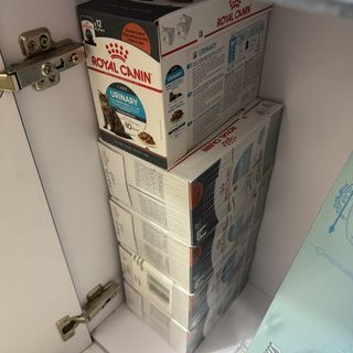（分類：）位於 。 由 jennyyht 提交（商品編號 1440902689，圖片 1）。簡介： 。