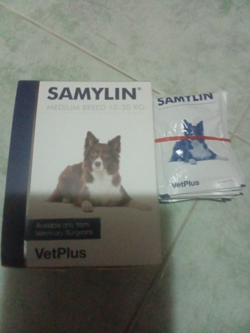 Samylin Medium size dog (Category: Health & Grooming) located in Singapore. Submitted by sunflowerted110526 (Listing ID 1440854043, Image 1). Description: Brand new box of 30 sachets with 11 loose sachets. Total 41sachets. Make me an offer. Free to dog shelter (pls contact me).