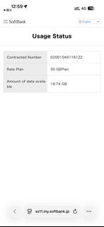 Japan SoftBank Native SIM Card