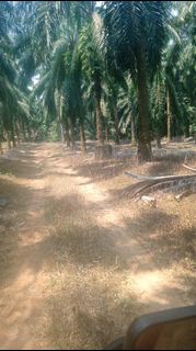 (Category: ) located in . Submitted by shaibatulhamdi (Listing ID 1440872604, Image 1). Description: .