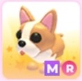 (Category: ) located in . Submitted by loveliiq (Listing ID 1440850935, Image 1). Description: .