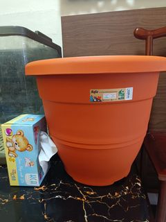 (Category: ) located in . Submitted by primesale (Listing ID 1440993377, Image 1). Description: .