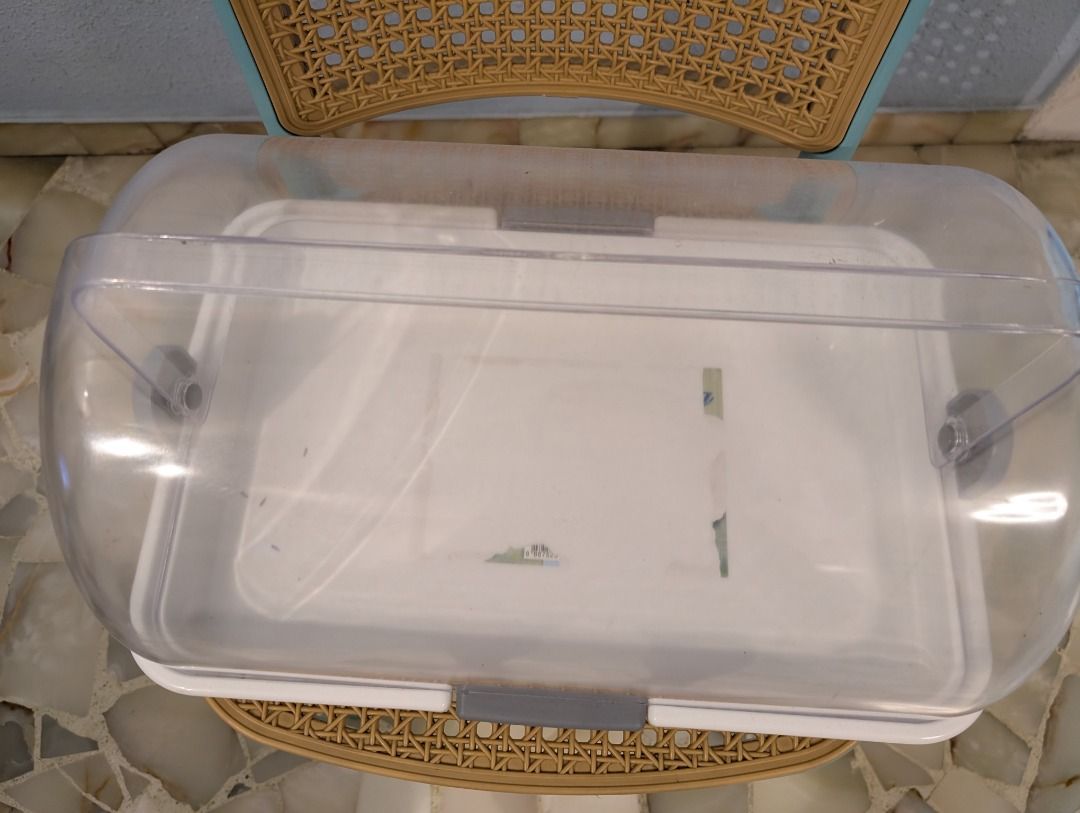 Clear Dome Food Cover with White Base469599808085698561