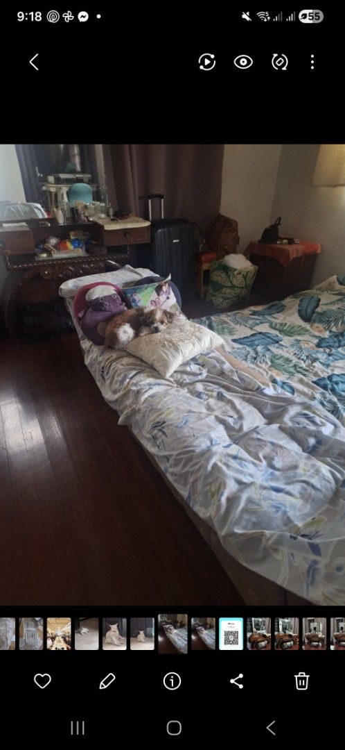 Cleopatra Divan (Category: Sofas) located in Caloocan City. Submitted by kelly122420 (Listing ID 1441017629, Image 2). Description: .