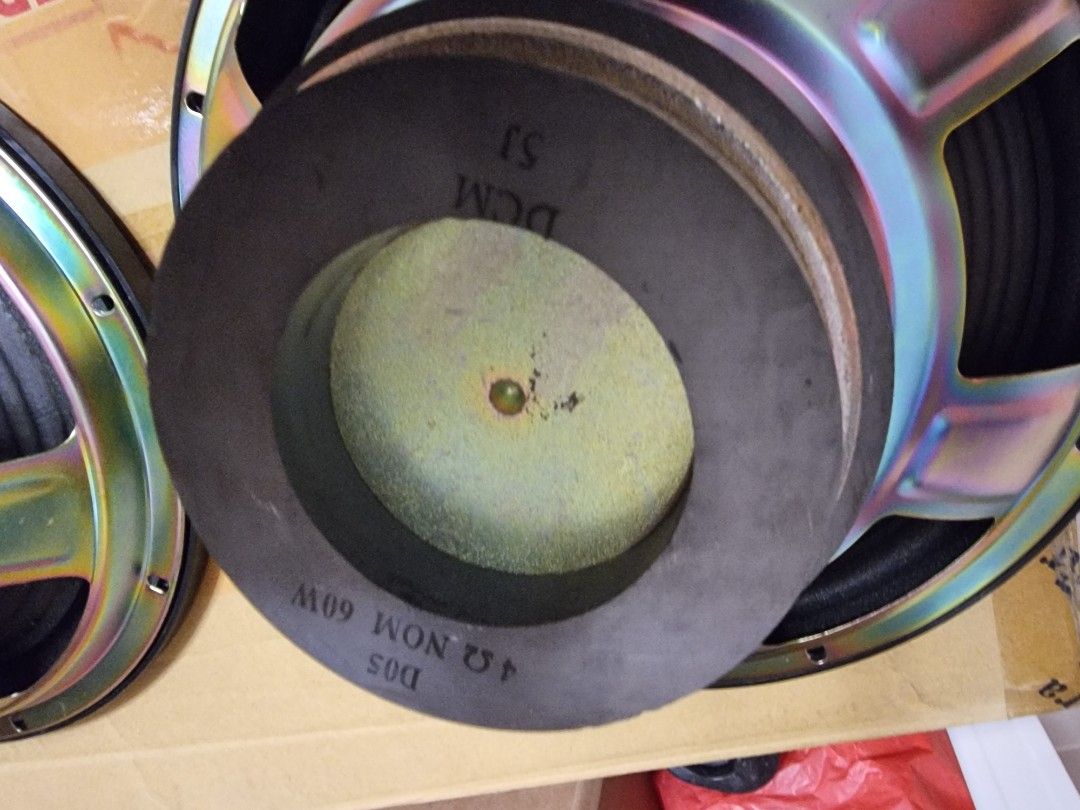 DCM woofer471020100964198402