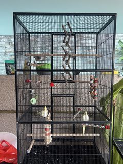 (Category: ) located in . Submitted by iiips (Listing ID 1440346200, Image 1). Description: .