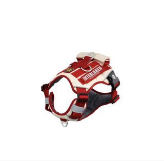 (Category: ) located in . Submitted by cassincheck (Listing ID 1441133718, Image 1). Description: .