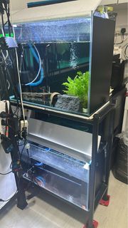 (Category: ) located in . Submitted by spree_sg (Listing ID 1440971838, Image 1). Description: .
