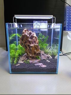 (Category: ) located in . Submitted by misskeu (Listing ID 1440989986, Image 1). Description: .