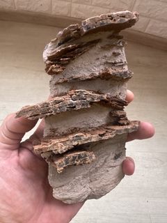 (Category: ) located in . Submitted by ornamental_rocks (Listing ID 1440963657, Image 1). Description: .