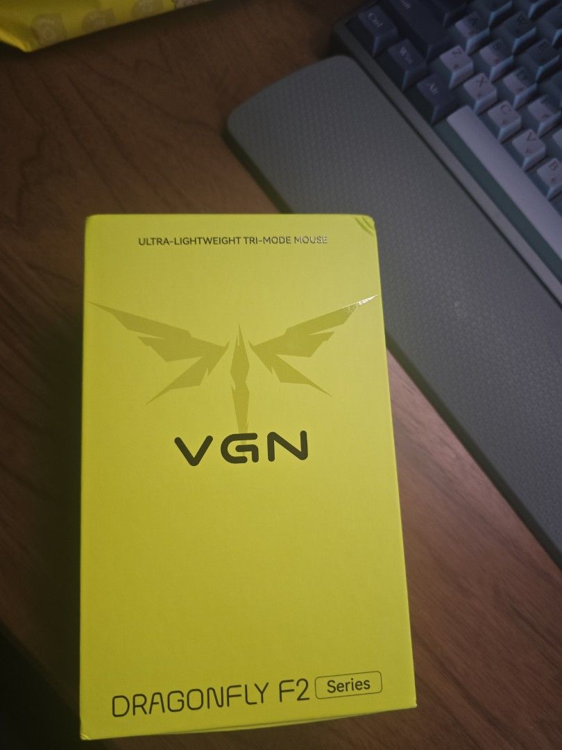 VGN DRAGONFLY F2 Master+ wireless mouse469399865771304960
