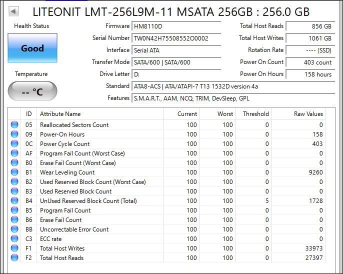 256GB mSATA SSD445051789420810241