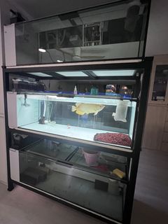 (Category: ) located in . Submitted by spree_sg (Listing ID 1436041634, Image 1). Description: .