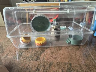 (Category: ) located in . Submitted by _handmadewithlove_ (Listing ID 1435944235, Image 1). Description: .