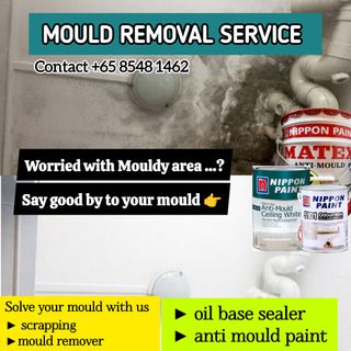 Cheap Painting Service, House Painting 收藏品 2