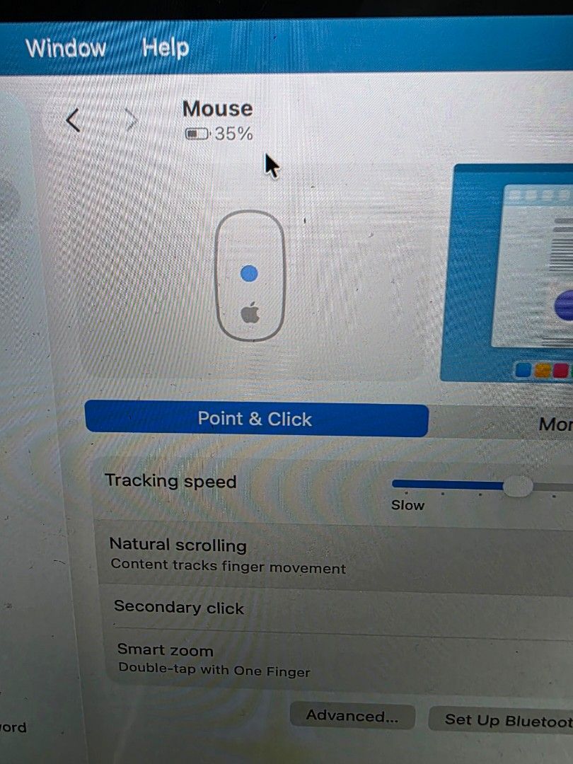 Apple Magic Keyboard and Mouse - White445053555296194563