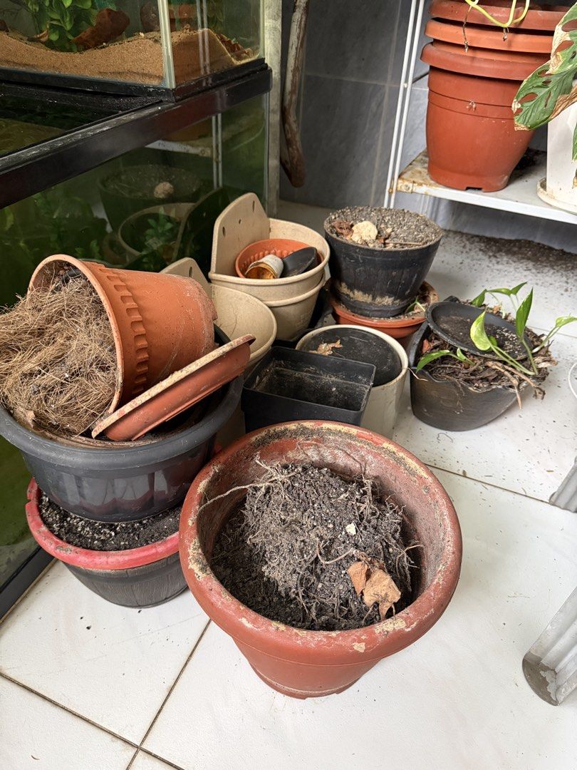 Assorted Plant Pots - Various Sizes & Styles
