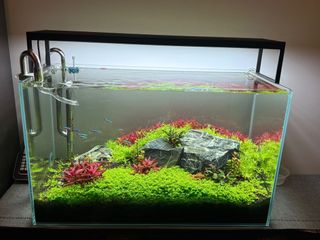 (Category: ) located in . Submitted by cedrick (Listing ID 1436028761, Image 1). Description: .