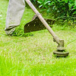(Category: ) located in . Submitted by landscapeking (Listing ID 1436056978, Image 1). Description: .