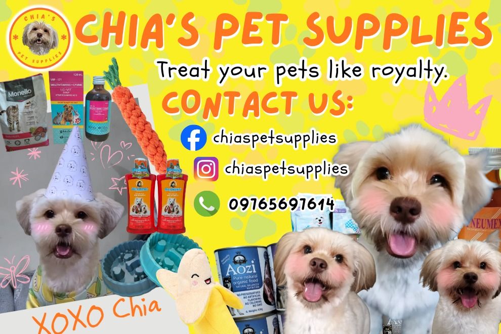 Himalaya Immunol Syrup (Immune System Booster) (Category: Health & Grooming) located in Pasig City. Submitted by shop.chiaspetsupplies (Listing ID 1435995942, Image 2). Description: Looking for other pet supplies? Visit our page for pet food, treats, toys, meds, grooming items, accessories, and more! 💯 fb.com/chiaspetsupplies .