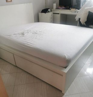 (Category: ) located in . Submitted by justplantit (Listing ID 1435993886, Image 1). Description: .