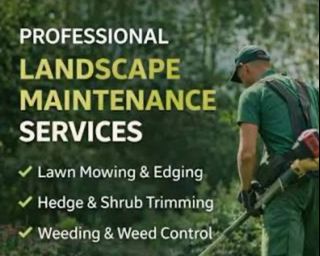 (Category: ) located in . Submitted by lawnspecialist (Listing ID 1436054458, Image 1). Description: .