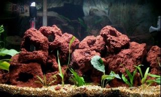 (Category: ) located in . Submitted by builtechenterprisepteltd (Listing ID 1435981376, Image 1). Description: .
