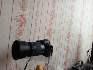 (Category: ) located in . Submitted by wilbisi (Listing ID 1435956677, Image 1). Description: .