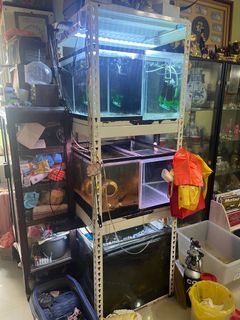 (Category: ) located in . Submitted by fishineed (Listing ID 1436156720, Image 1). Description: .
