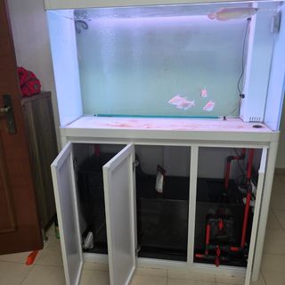 (Category: ) located in . Submitted by greeneery (Listing ID 1436194238, Image 1). Description: .