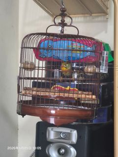（分類：）位於 。 由 shing37shing 提交（商品編號 1436114140，圖片 1）。簡介： 。