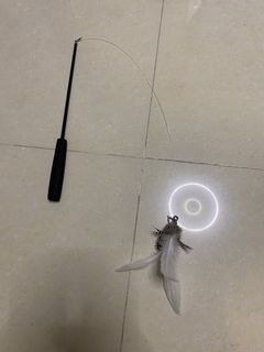 （分類：）位於 。 由 jgltypi 提交（商品編號 1436202097，圖片 1）。簡介： 。