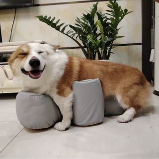（分類：）位於 。 由 jim.jim.t 提交（商品編號 1435415434，圖片 1）。簡介： 。