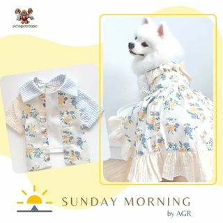 (Category: ) located in . Submitted by petsboutique_sg (Listing ID 1436146874, Image 1). Description: .