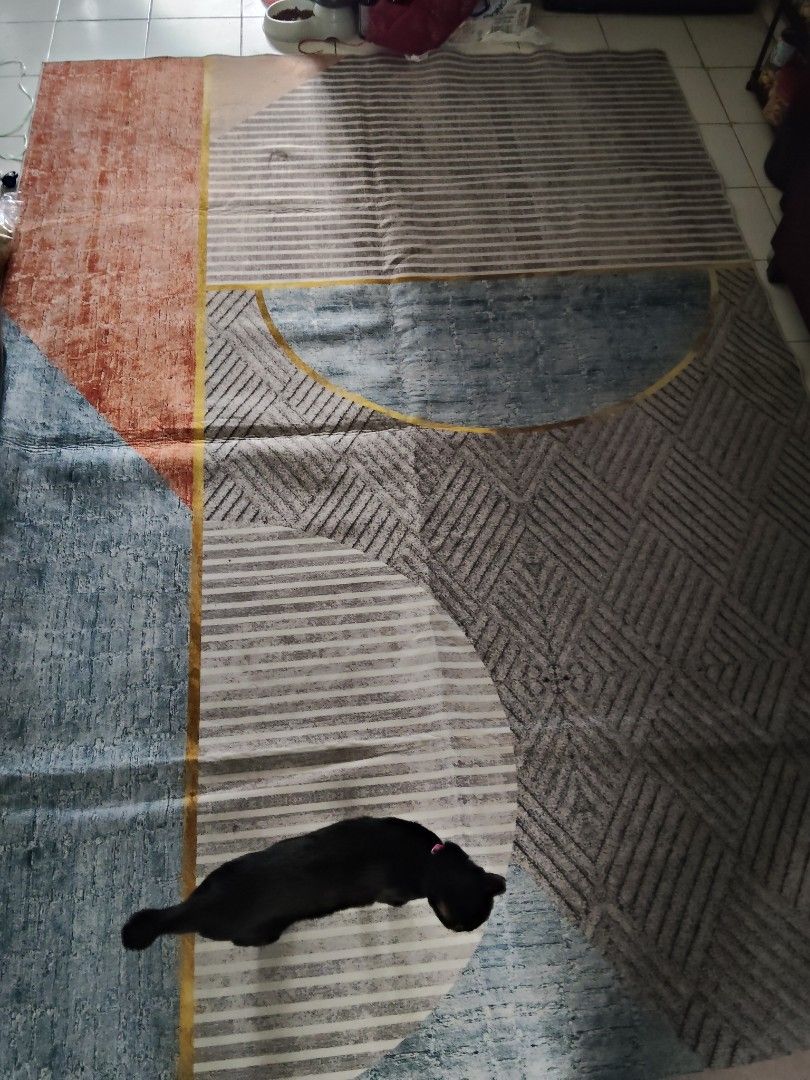 Big Carpet445712656037980160